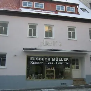 Apartment Allee No. 4